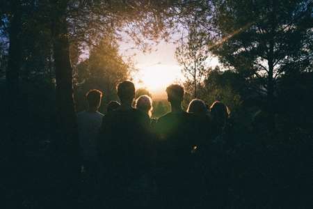 Silhouettes of people surrounded by trees looking at a sunset.