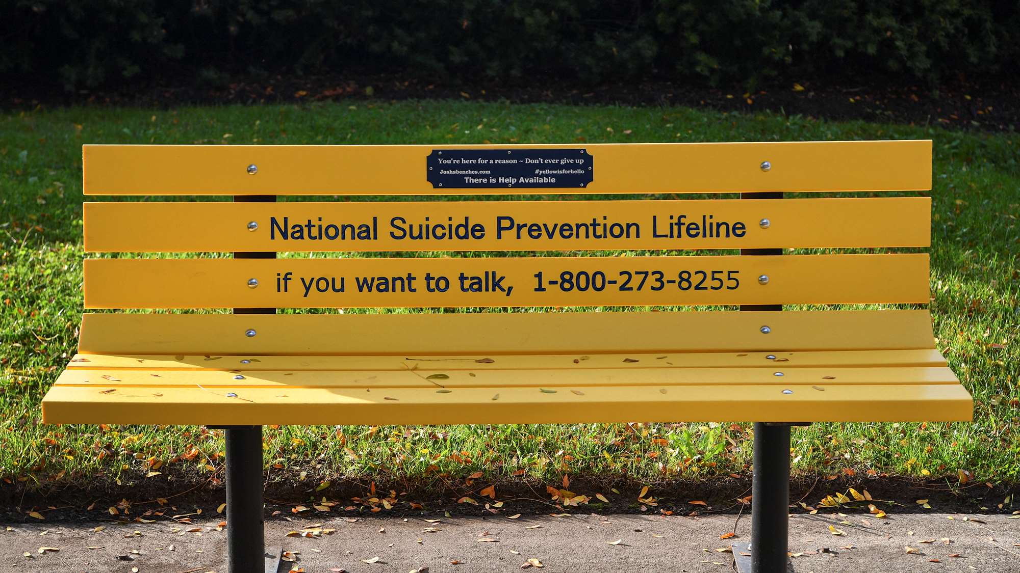 Yellow bench outside that has information for the National Suicide Prevention Lifeline: If you want to talk, call: 1-800-273-8255.  